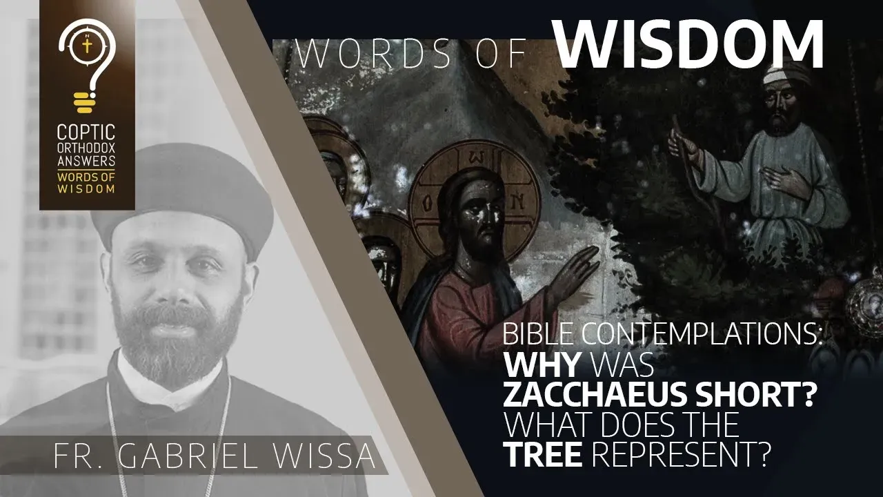 Bible contemplations : Why was Zacchaeus short? What does the tree represent?